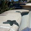 Newport Beach, CA
Achitectural Motif Series
Starfish